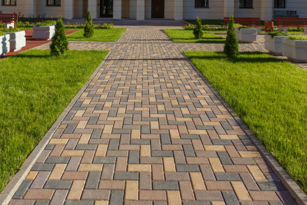 Best Affordable Driveway Paving  in Coronita, CA
